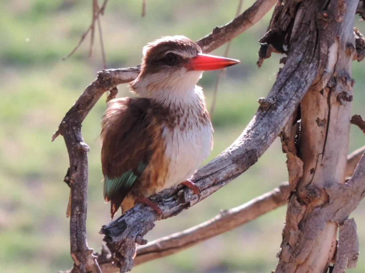 Riverside Guest Lodge Oudtshoorn Εξωτερικό φωτογραφία