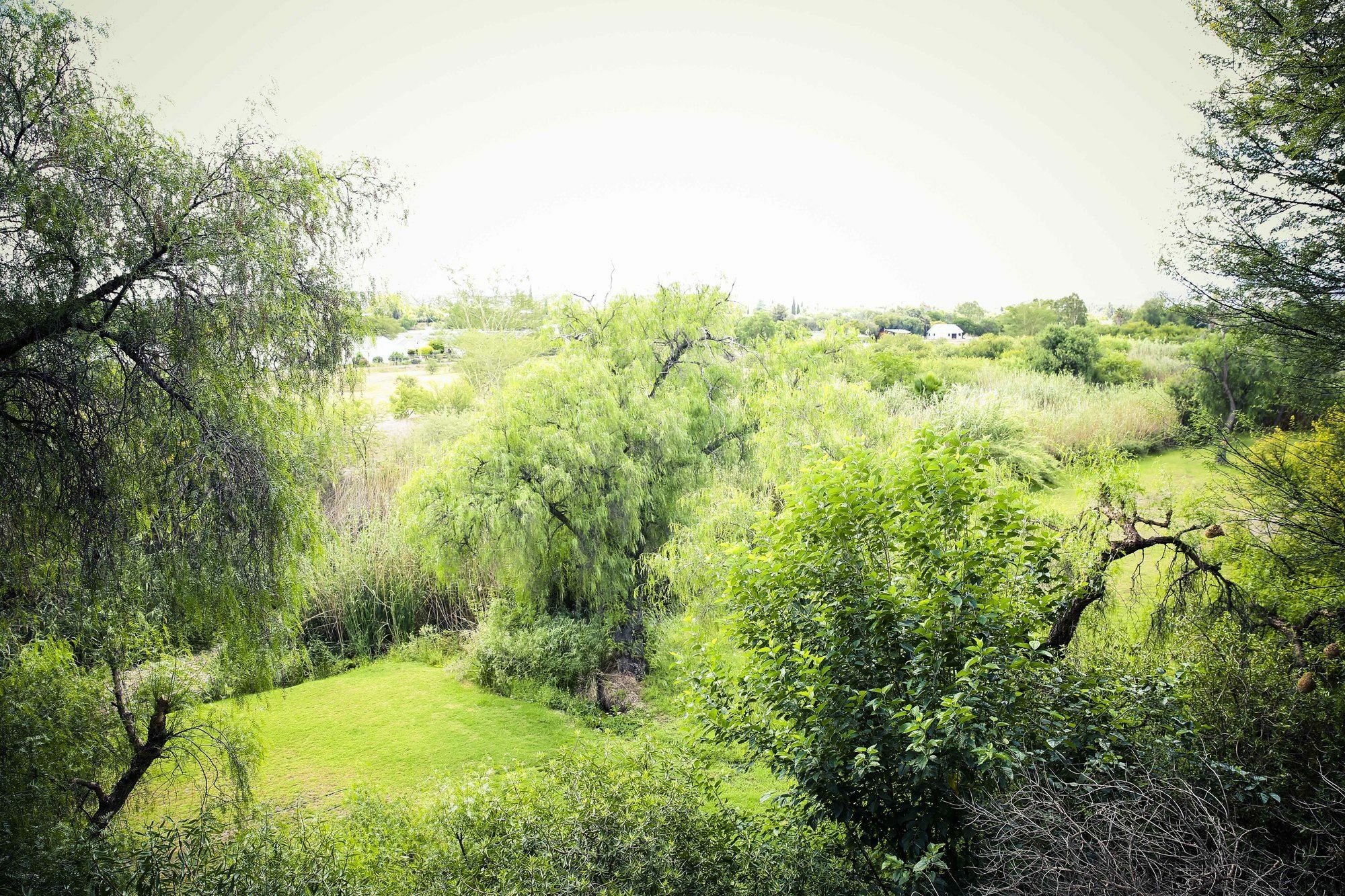 Riverside Guest Lodge Oudtshoorn Εξωτερικό φωτογραφία